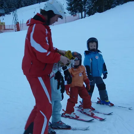 Flachauer Bergkristall