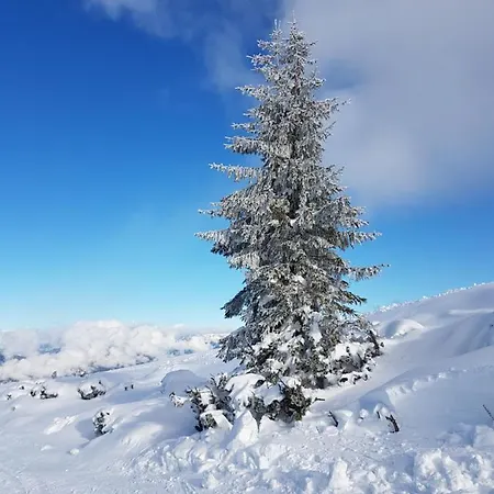Апартаменты Flachauer Bergkristall